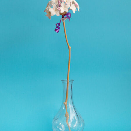 Biznaga de Porcelana – Pura artesanía malagueña: imagen 4