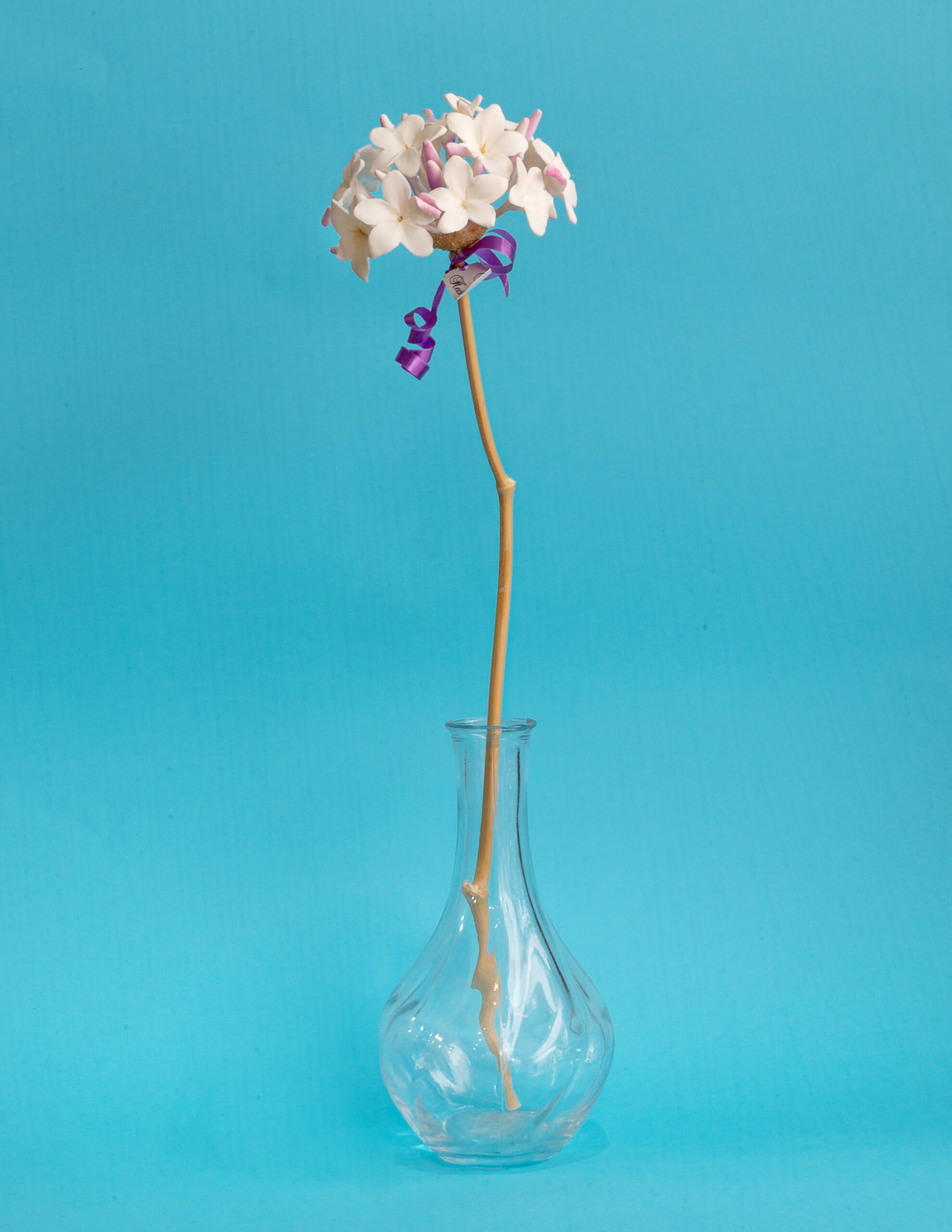 Biznaga de Porcelana – Pura artesanía malagueña: imagen 4