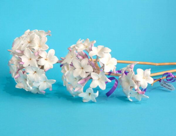 Biznaga de Porcelana – Pura artesanía malagueña