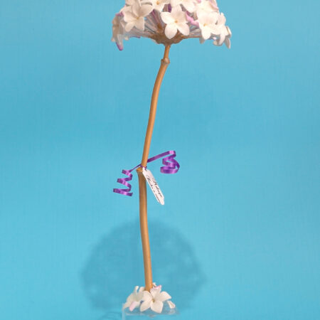 Biznaga con peana – Hecha a mano en Málaga