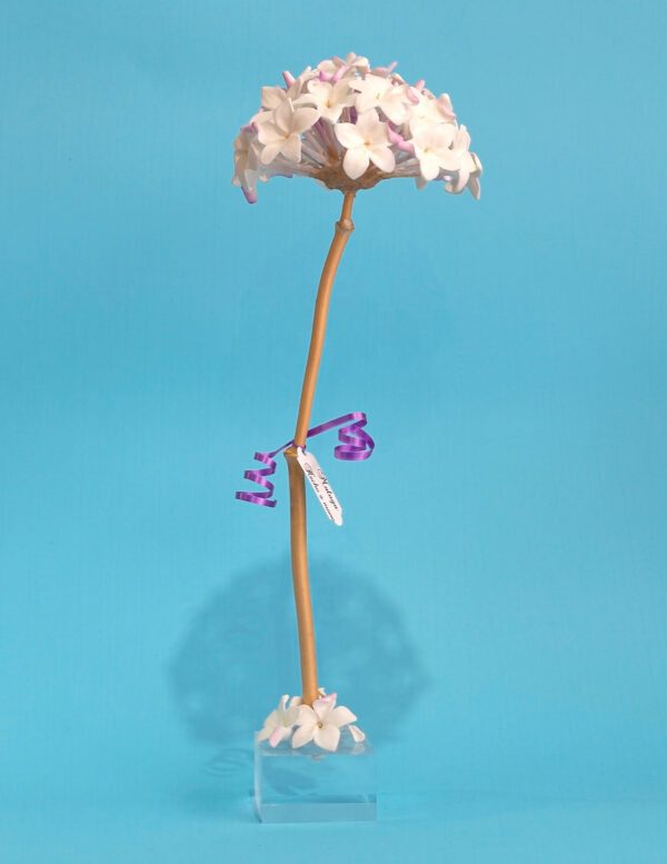 Biznaga con peana – Hecha a mano en Málaga